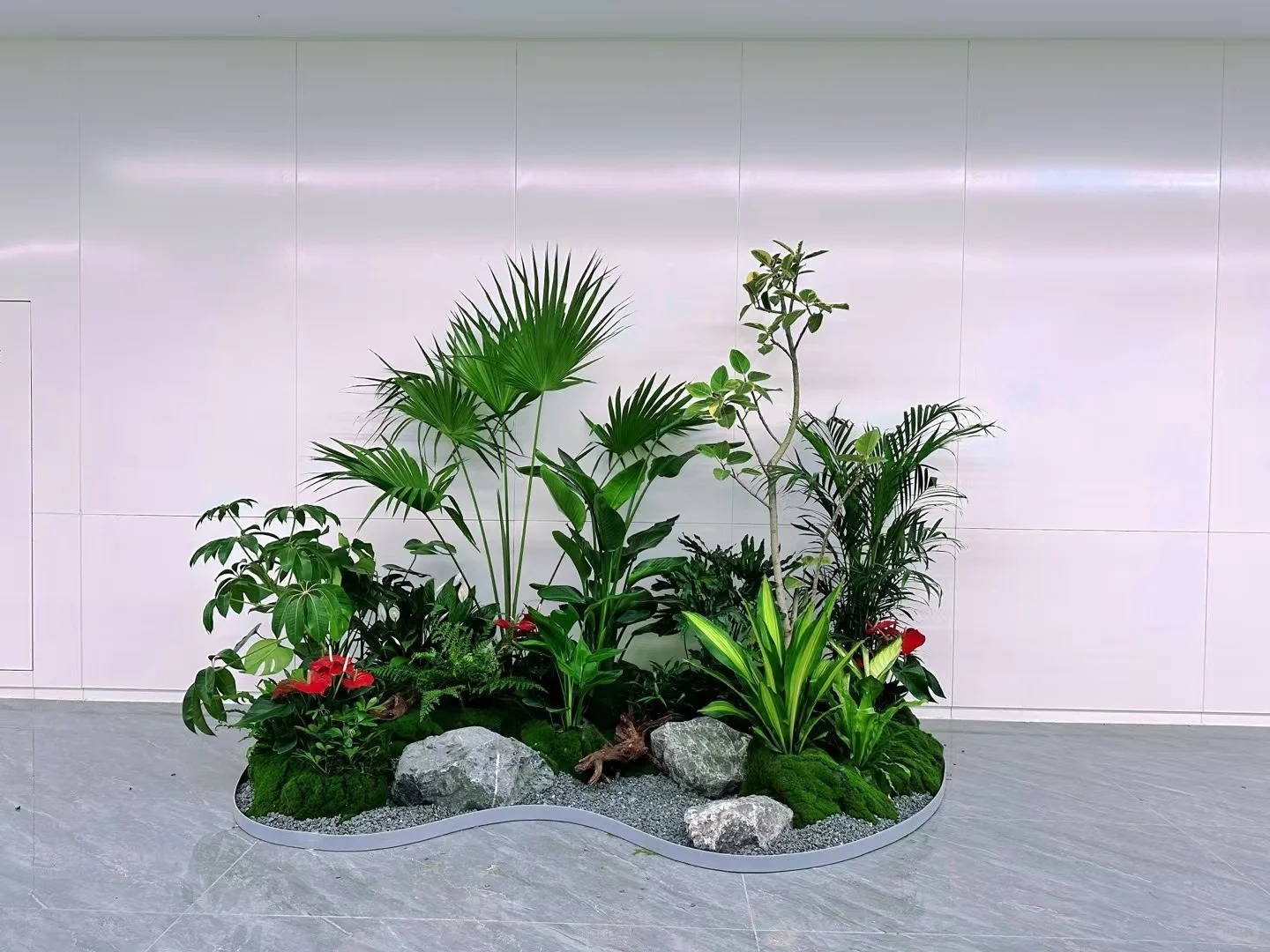 余姚专业植物租摆,为家居增添别样生机!