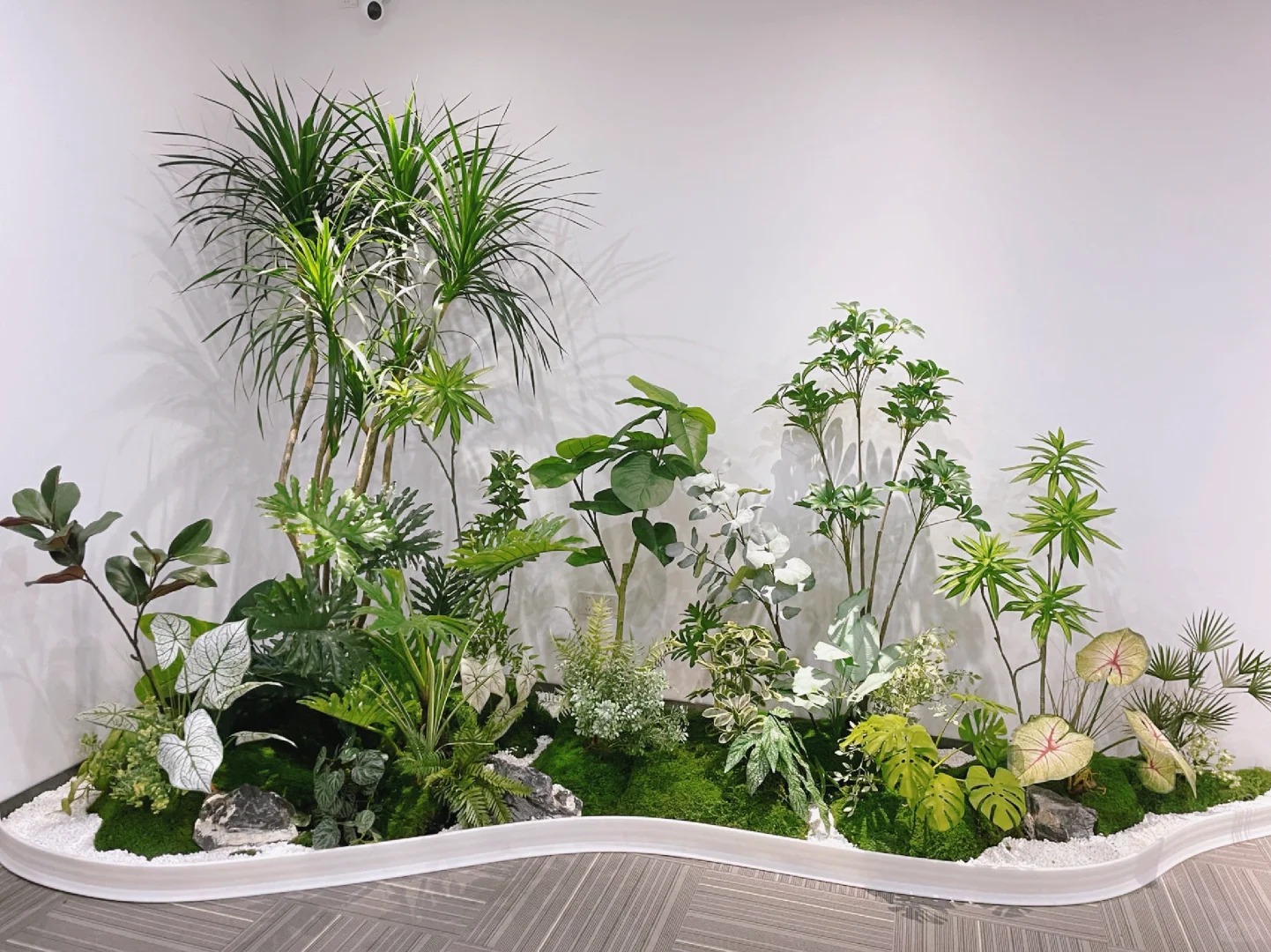 余姚专业植物租摆,为家居增添别样生机!